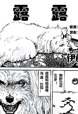 露露 露露之殇 全2卷 伊藤润二 漫画百度网盘下载