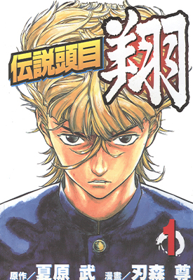 传说头目翔 1-11卷 夏原武 刃森尊 漫画百度网盘下载