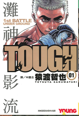 TOUGH灘神影流 1-39卷 猿渡哲也 漫画百度网盘下载