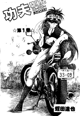 功夫旋风儿 空手道篇 1-59卷 蛭田达也 漫画百度网盘下载