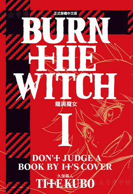 BURNTHEWITCH龙与魔女  1卷  久保带人  漫画百度网盘下载