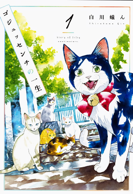 流浪猫的一生 1-2卷 白川蚁ん 漫画百度网盘下载 流浪猫的一生 1-2卷 白川蚁ん 漫画百度网盘下载