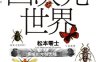 四次元世界 上下卷全 松本零士 漫画百度网盘下载